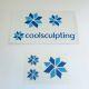 Zeltiq CoolSculpting Snowflake Logo Decals Marketing Stickers MK1562-A
